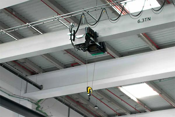 Food and beverage industry crane