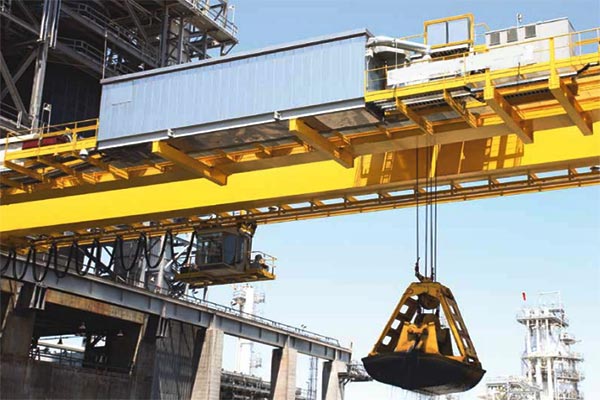 Petrochemical industry crane